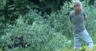 'They broke every rule': Video shows Banff visitors face-to-face with grizzly