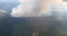 'I'm panicked, I'm scared': B.C. woman flees wildfire with 4 dogs, 20 horses 