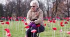 Graves of 45,000 veterans in disrepair due to funding shortfall: audit