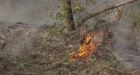 Hot spots from B.C. wildfires will likely burn for months, municipal official says