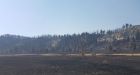 Wind, dry conditions fuel fast-moving wildfire near Kelowna, B.C.