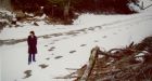 From petroglyphs to audio recordings, B.C. scientist advocates for examination of sasquatch evidence
