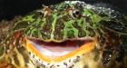This ancient frog could have preyed on dinosaurs