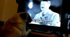 Man who taught dog Nazi salutes 'should be convicted of hate crime'