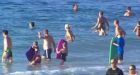 Sydney swelters through its hottest day in almost 80 years