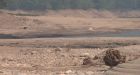 Province issues 2nd most severe drought rating for B.C. coast
