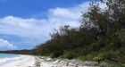 (PDF) Absolute Evidence of the Absence of an on-Going Sea Level Rise on Ouva Island of New Caledonia