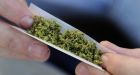 Mom stole my weed, 14-year-old boy tells OPP