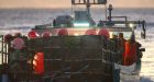 Trade minister says she'll keep eye on U.S. probe of Canadian lobster industry