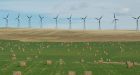 Canada predicts largest oil province Alberta to lead growth in renewables