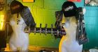 Mannequin-breast beer taps: Enderby pub owner defends her new draught taps amid online controversy