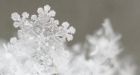 Parts of central Manitoba expected to get 10-20 cm of snow