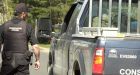 B.C. wildlife: Feeding animals gets resident fined