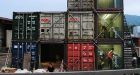 Shipping containers eyed for homes
