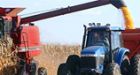 Grim findings in World Bank's biofuel report