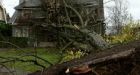 Wind watch: 8,000 without power in Lower Mainland