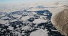 Over 200 narwhal trapped in Canadian ice