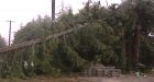 Wind storms knock out power to 30,000