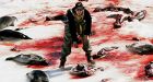 Scientists defend seal hunt