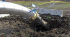 EnCana bomber offered split of $1M reward cash