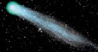 Discovery by Stardust probe in Wild 2 comet suggests life on Earth began in space