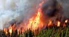 700 on evacuation alert in B.C. Cariboo area