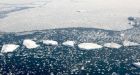 The most radical ideas on Earth might just save it