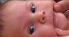 Regina experiences baby boom