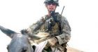 Donkeys as soldiers turn out to be a bit of a dud