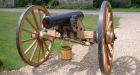 Man charged for firing cannon at neighbour