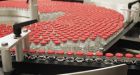 Beware of online swine-flu remedies: Health Canada
