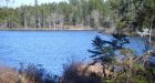 Oil spill contaminates N.S. river