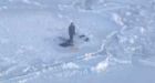 Nunavut ice-floe rescue best yet: searcher