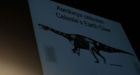 New dinosaur species found in Africa