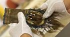 Inuvialuit examine Smithsonian artifacts