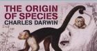 Anti-evolution views widespread in Muslim world