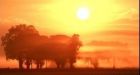 This year 'in top five warmest'