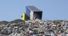 Food waste has environmental impact: scientists