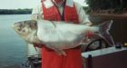 Asian carp poses 'potential catastrophe'