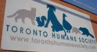 5 charged at Toronto Humane Society