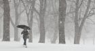 Snowstorms slam parts of Canada