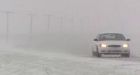 Wintry, windy storm slams southern Sask.
