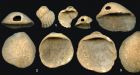 Shell jewelry shows Neanderthal no dummy: researchers
