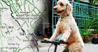 Introducing Google Maps Biking