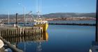One dead in N.S. lobster boat capsize