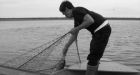 Survival of the weakest? Study looks at whitefish evolution in Alberta lake