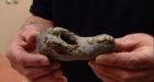 N.S. fishermans catch older than dinosaurs