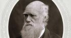 Was Charles Darwin's family a victim of inbreeding?