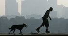 Are air pollution and appendicitis linked?