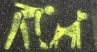 Grandma Gets Fined for Picking Up the Wrong Poop